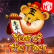 Year Of The Tiger