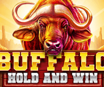 Buffalo Hold and Win