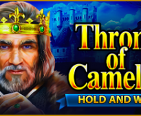 Throne Of Camelot