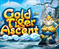 Gold Tiger Ascent