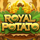 Royal Potato